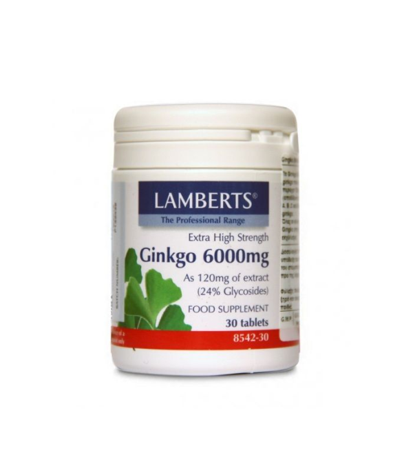 Lamberts Ginkgo 6000MG Για την Διατήρηση της Βραχυπρόθεσμης Μνήμης, 30 Ταμπλέτες